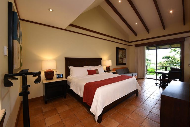 Rainforest Room