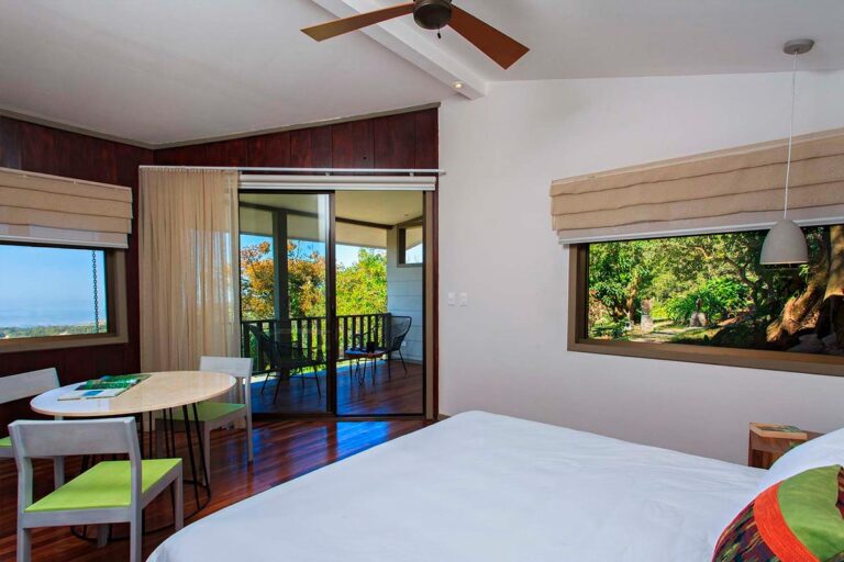 Premium Suites