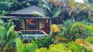 Rainforest Pool Villa