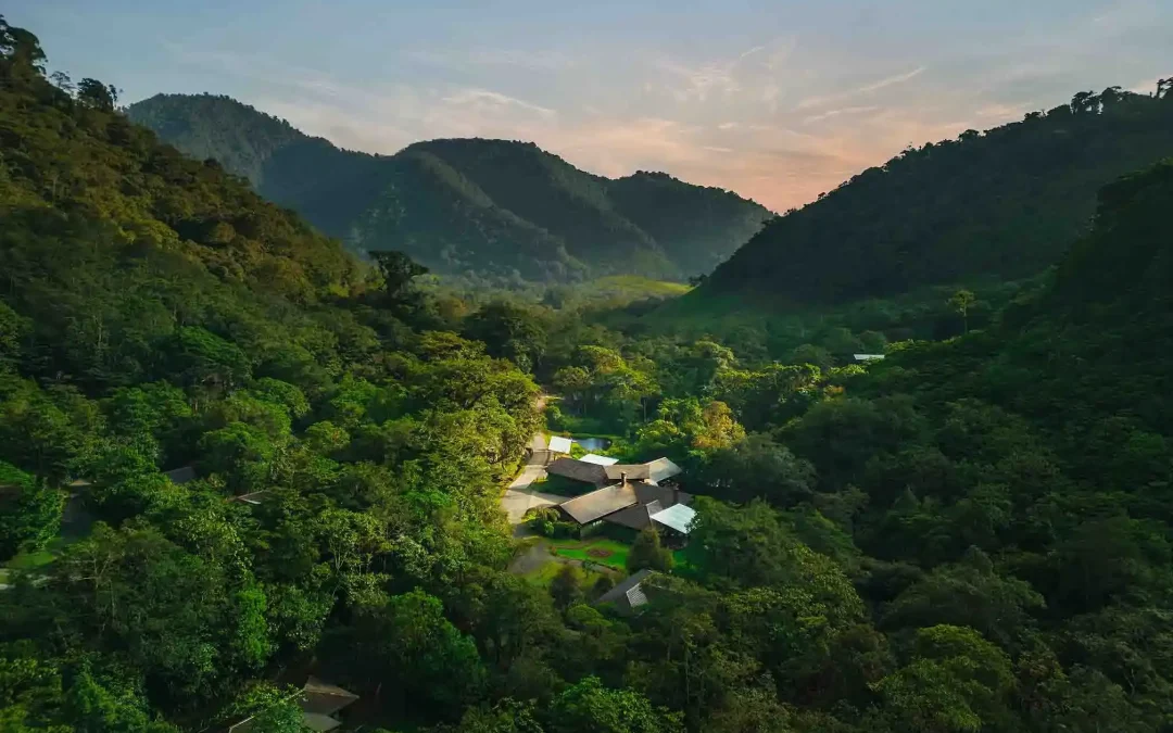 Silencio Lodge