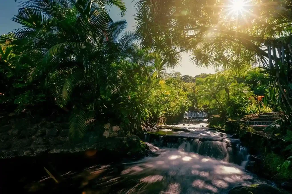 Leisure Day in La Fortuna – Explore Arenal’s Rainforest or Hot Springs