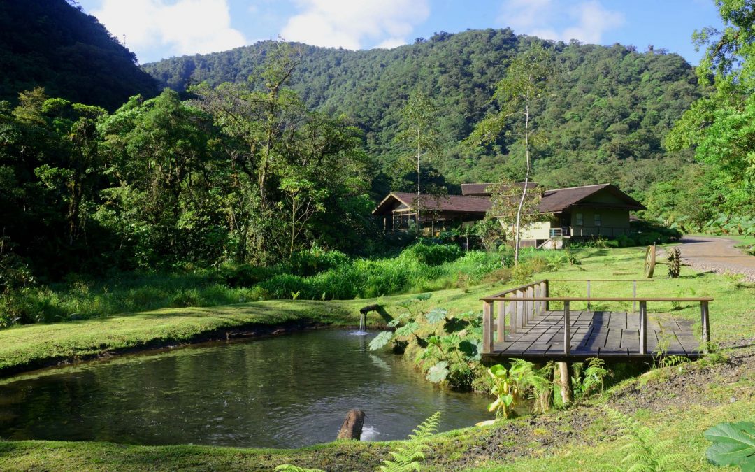 Experience the tranquility of Costa Rica's landscape at El Silencio Lodge & Spa, where serenity and rejuvenation await.