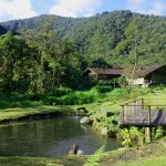 Experience the tranquility of Costa Rica's landscape at El Silencio Lodge & Spa, where serenity and rejuvenation await.