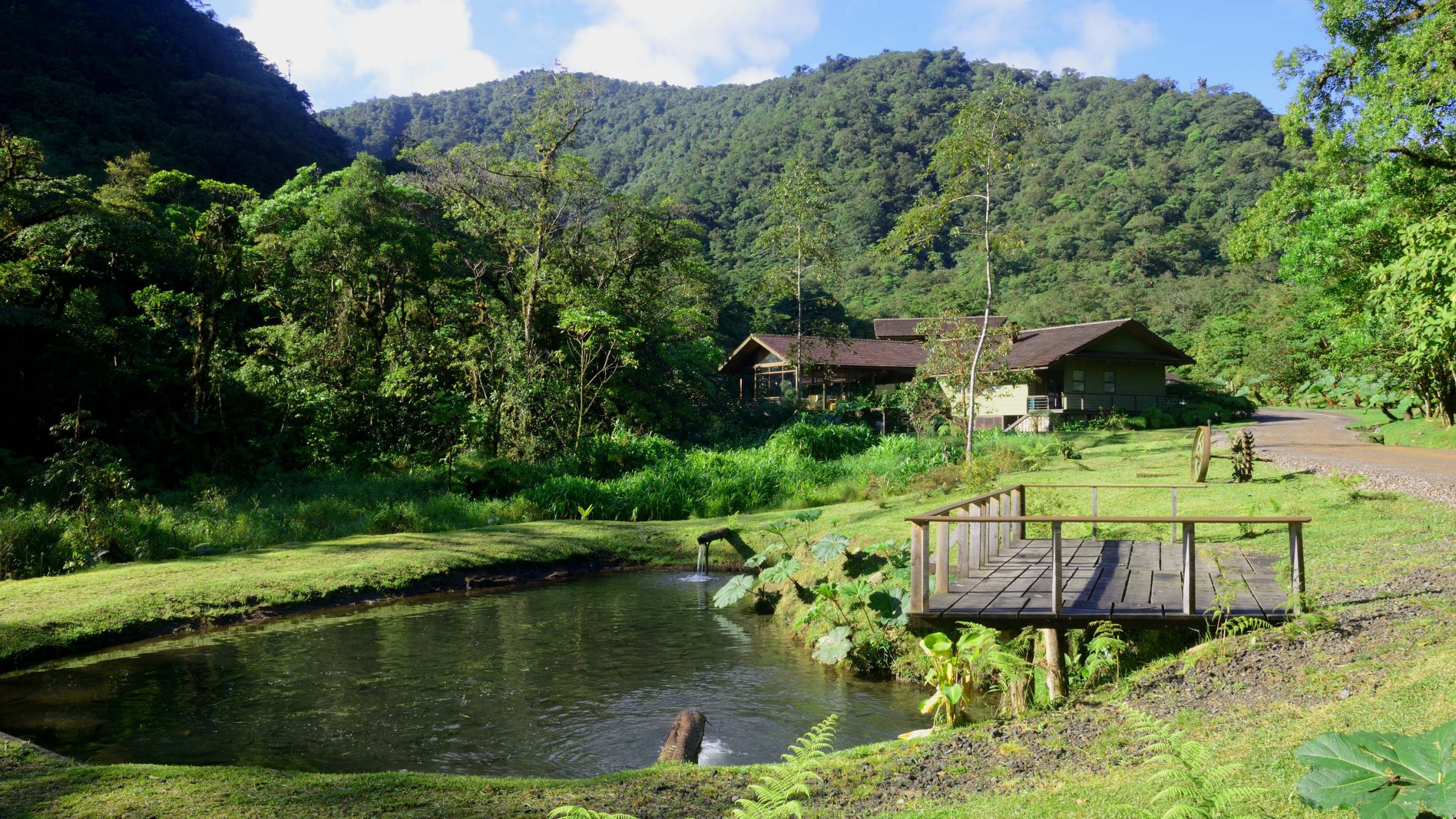 Experience the tranquility of Costa Rica's landscape at El Silencio Lodge & Spa, where serenity and rejuvenation await.