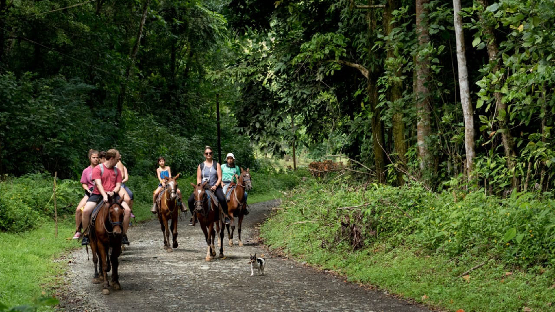 Horseback Riding tour FIND My Costa Rica