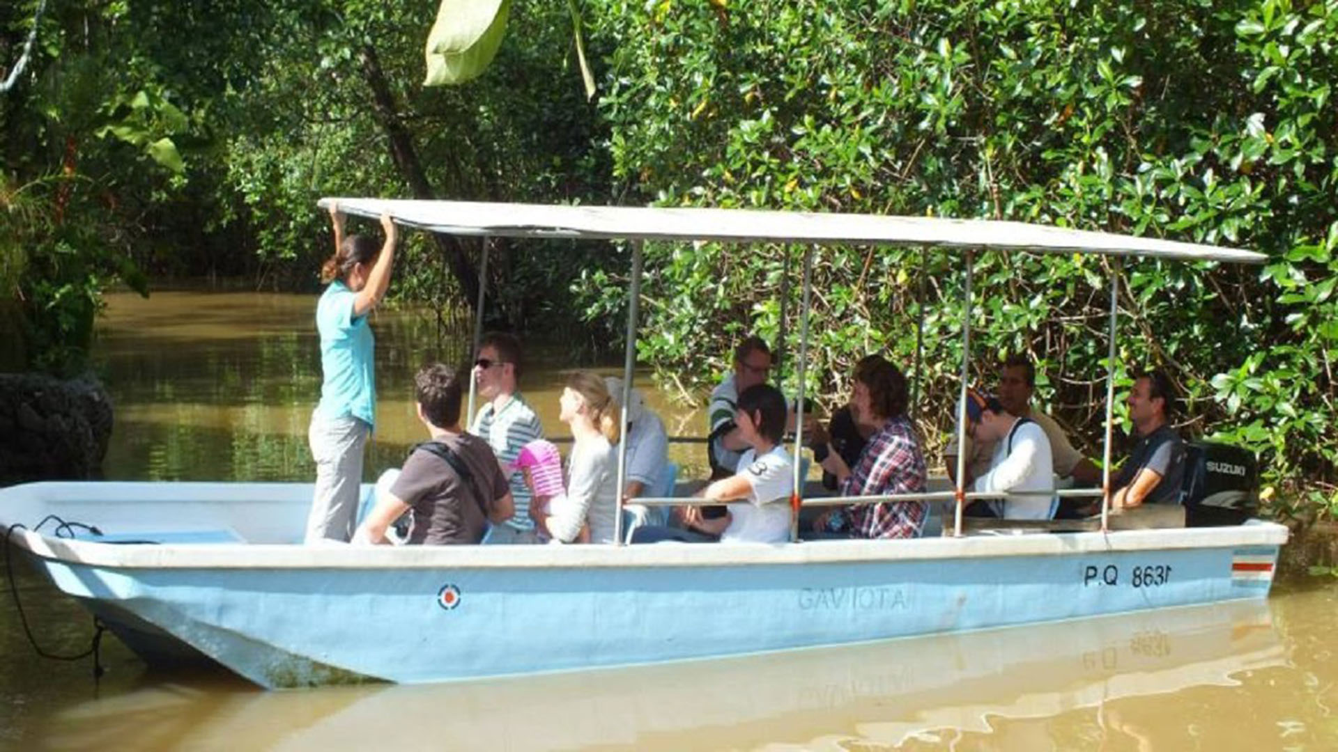 Mangrove Boat Tour FIND My Costa Rica