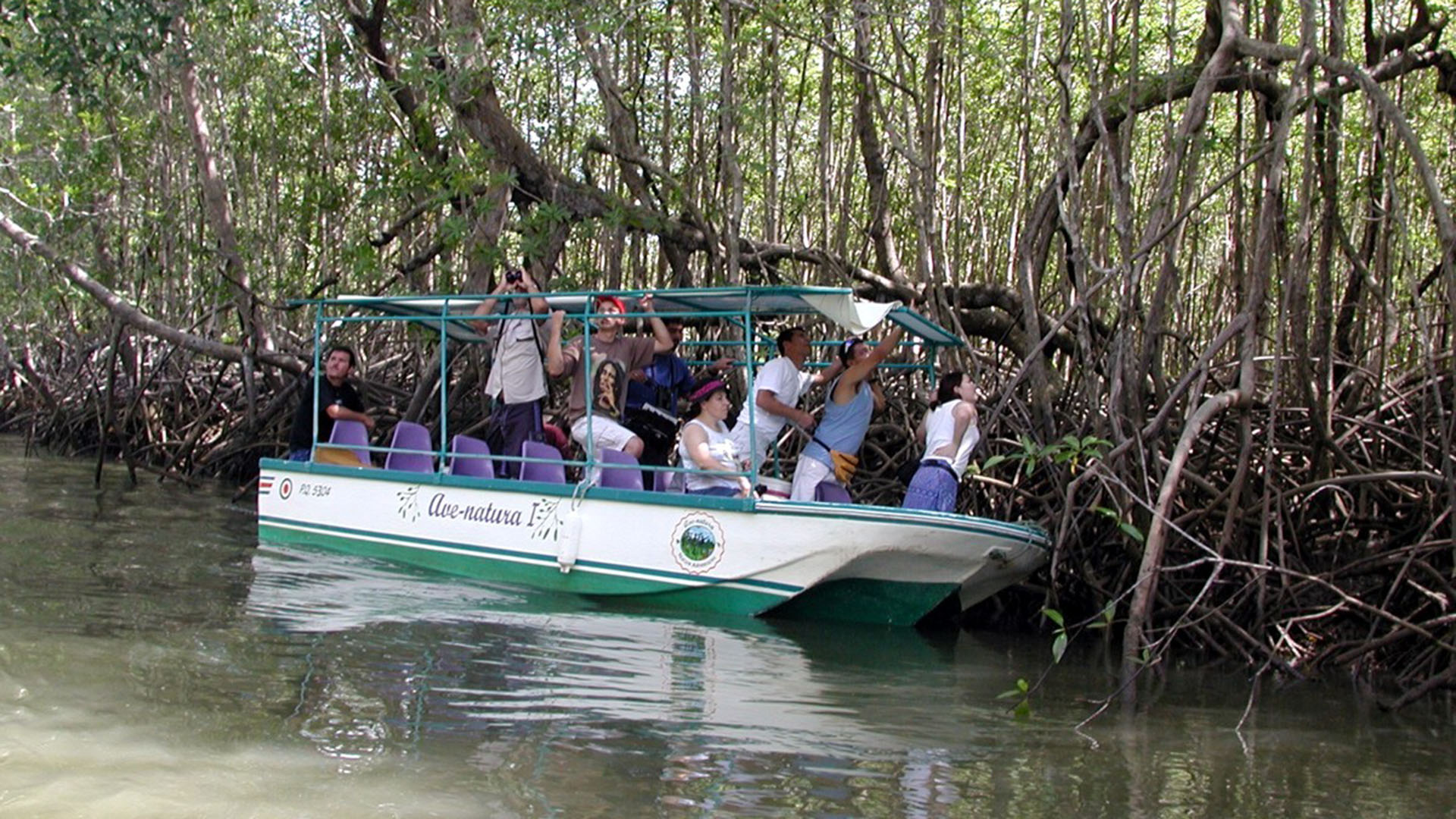 Mangrove Boat Tour FIND My Costa Rica