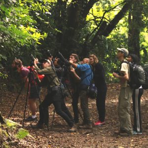 Curi Cancha Reserve Hiking & Birdwatching Tour in Monteverde