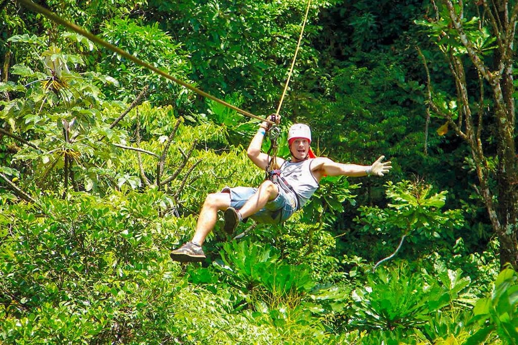 Treetop Canopy Zip Line