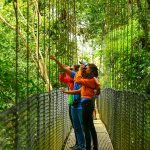 Hanging bridges in Arenal