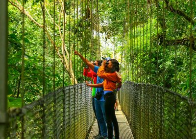 Hanging bridges in Arenal