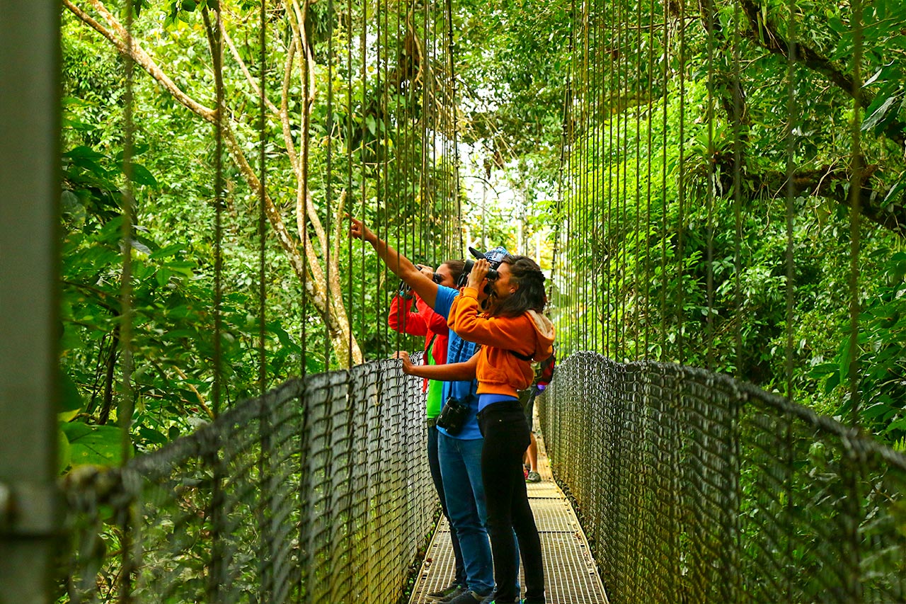 Hanging bridges in Arenal