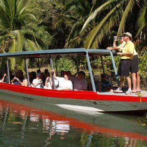 Damas Island Mangrove Boat Tour in Manuel Antonio