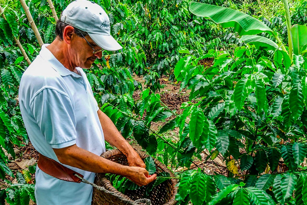 Book a chocolate and coffee tour with Find My Costa Rica.