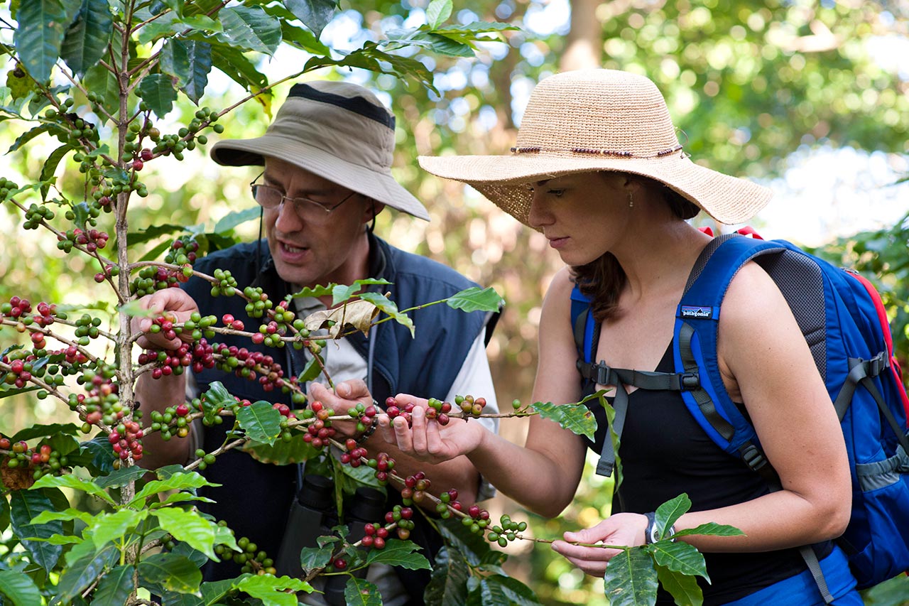 As a beautiful family-owned coffee and art hotel, Finca Rosa Blanca captures the essence of Costa Rica's charm.