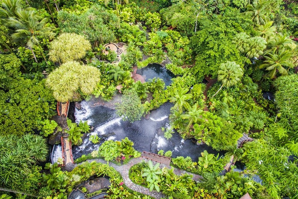 Leisure Day in La Fortuna – Explore Arenal’s Rainforest or Hot Springs