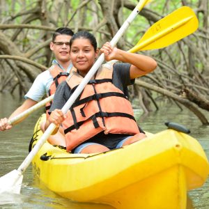 Kayaking Damas Island Estuary Tour in Manuel Antonio
