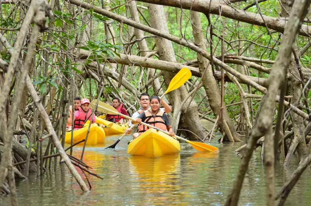 Choose Your Own Jungle Adventure
