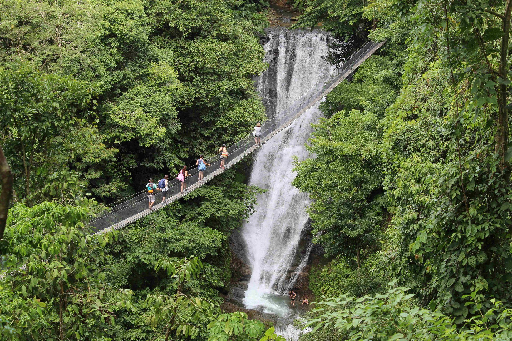 Los Campesinos Hanging Bridges & Waterfall Tour