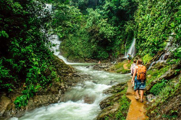 Los Campesinos Hanging Bridges & Waterfall Tour