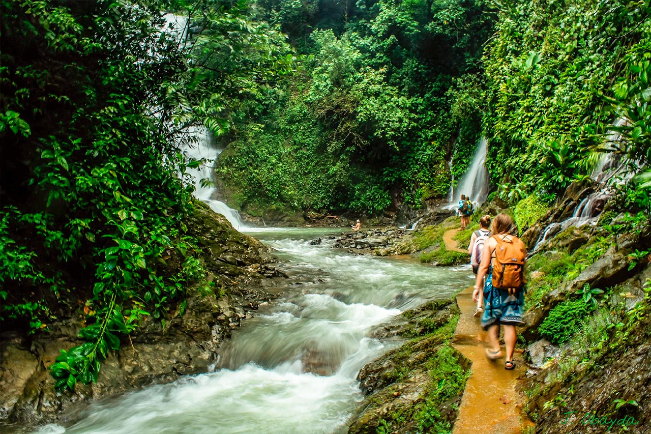 Hanging bridges Costa Rica