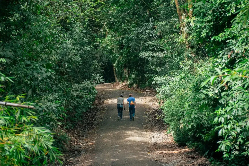 Choose Your Own Jungle Adventure
