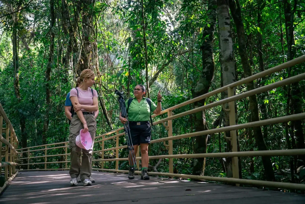 Choose Your Own Jungle Adventure