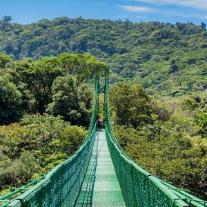 Selvatura Monteverde Guided Hanging Bridges