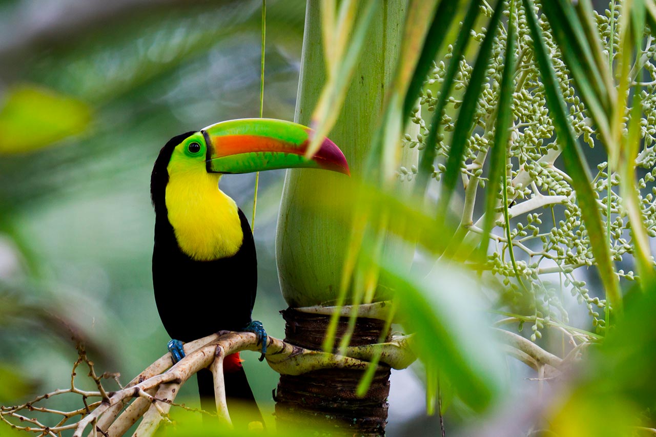 hiking in costa rica