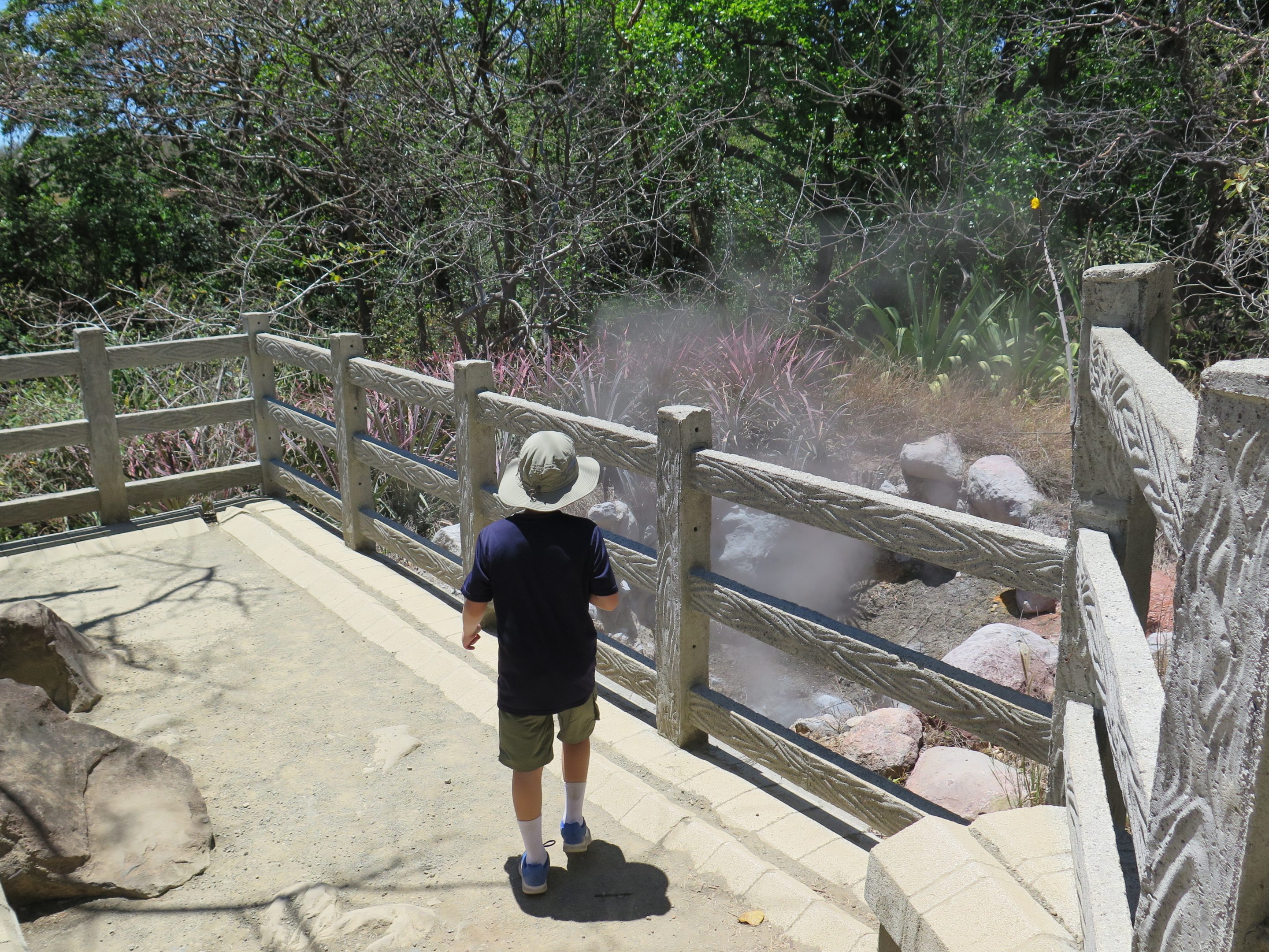 Rincon de la Vieja National Park Guided Hike