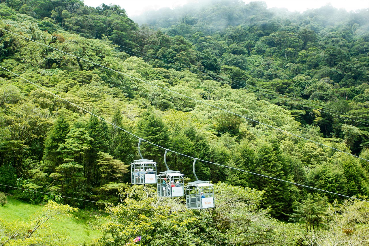 Sky-Tram-Sky-Trek-02 Sloth- Costa Rica