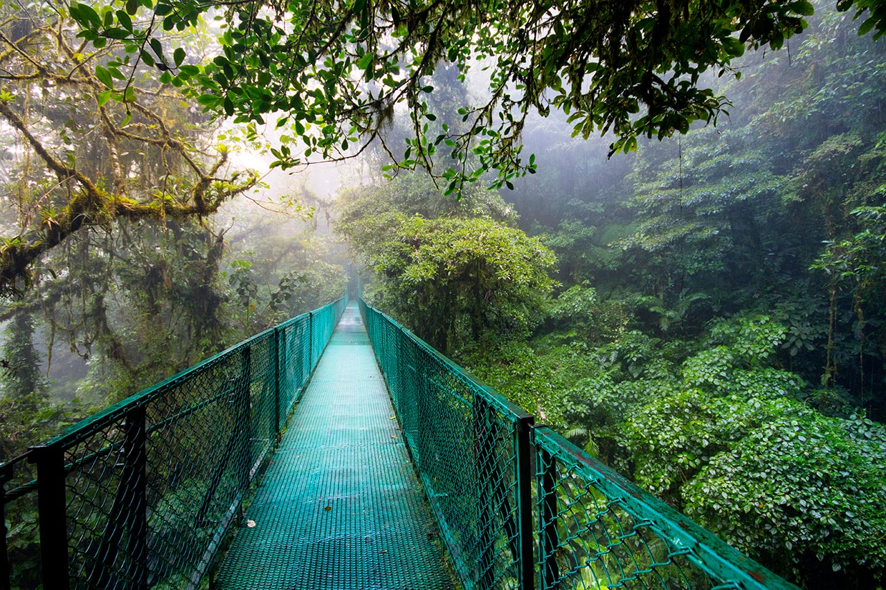 monteverde cloud forest tours from san jose