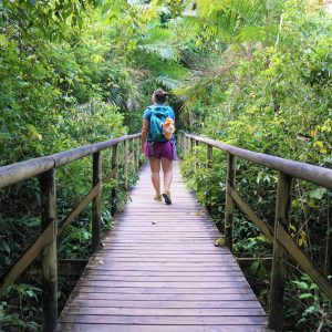 Manuel Antonio National Park Tour
