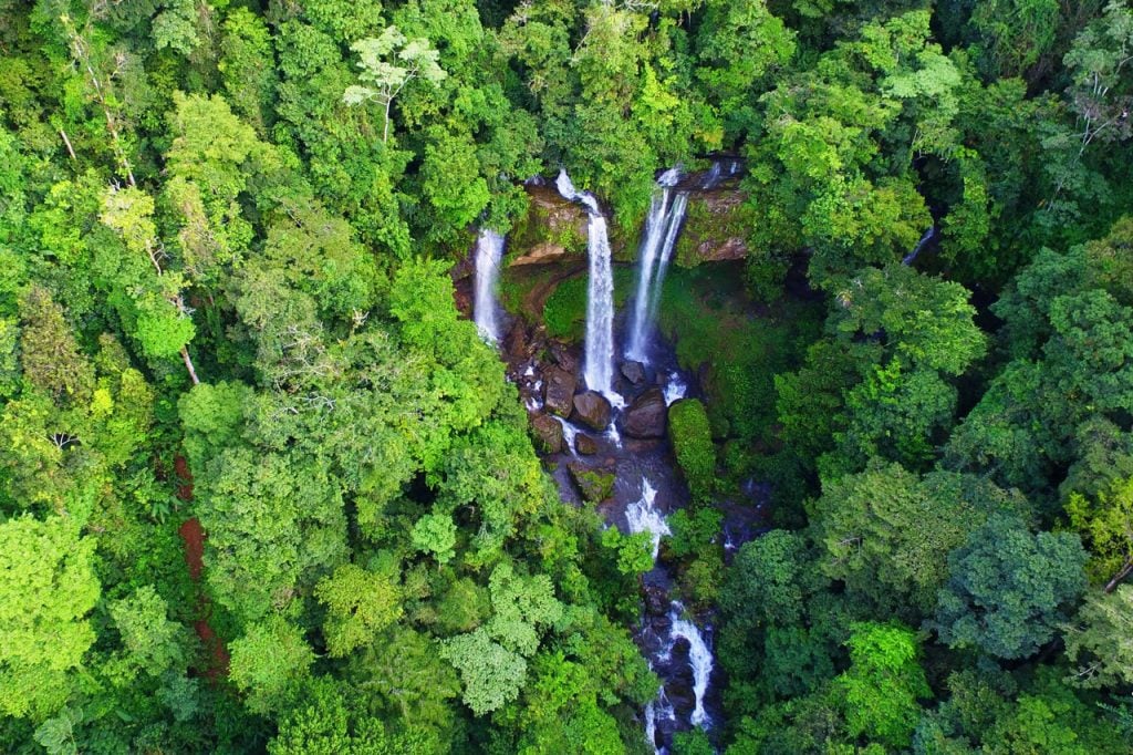 Rainforest Waterfall Cave Camp
