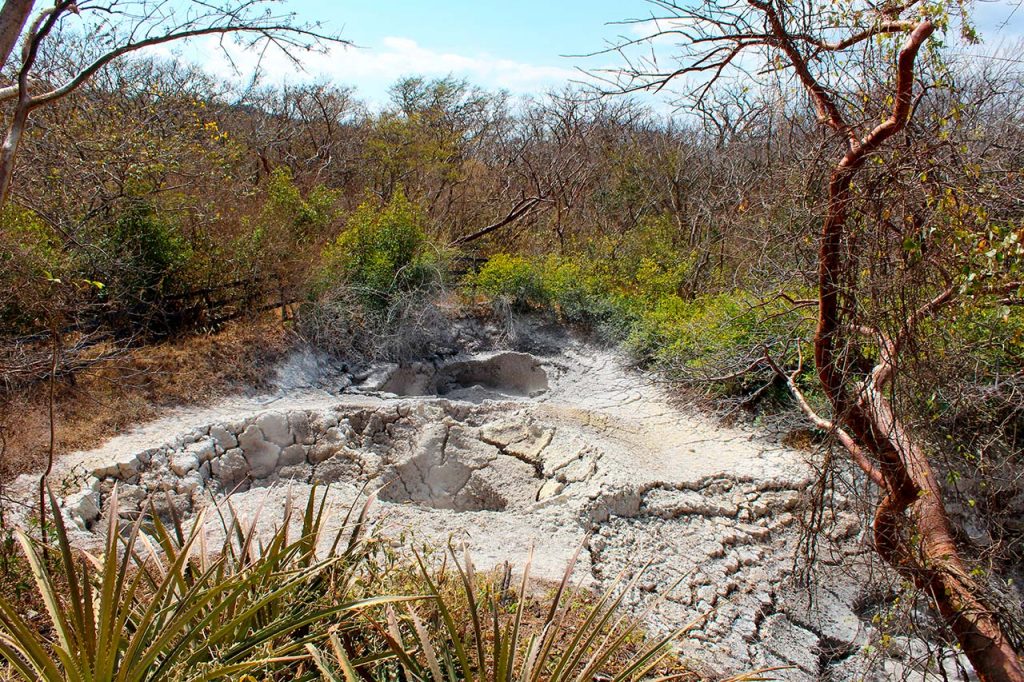 Guided Hike - Las Pailas, Oropendola Waterfall & Río Negro (B, L)