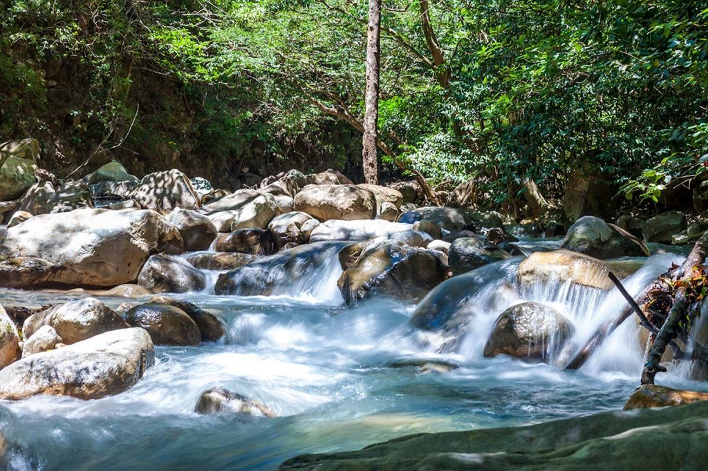 Guided Hike - Las Pailas, Oropendola Waterfall & Río Negro (B, L)