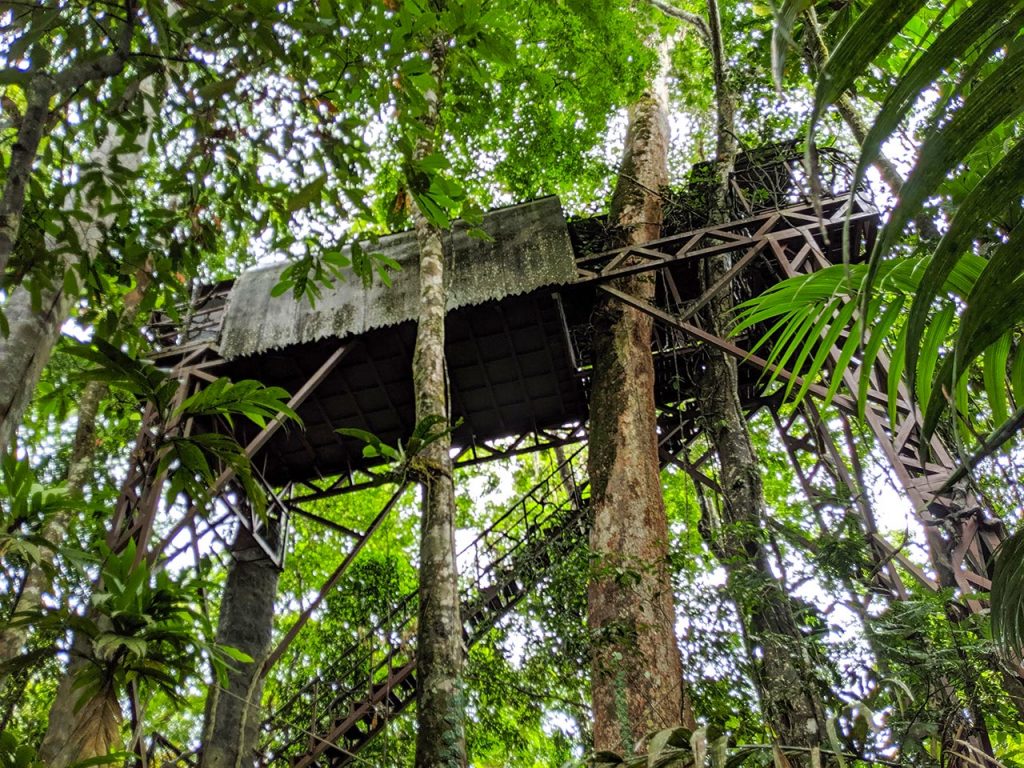 Villa Blanca Cloud Forest – Boca Tapada Tree Houses