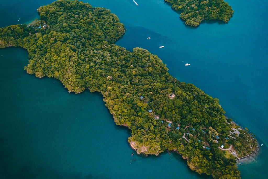 Kayaking Expedition and Sunset Island Cruise