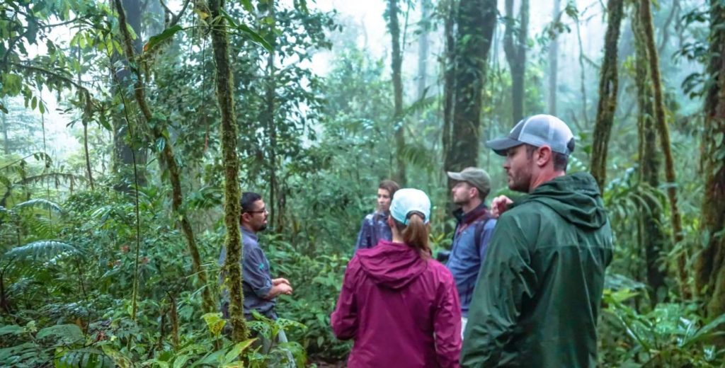 El Silencio de Los Ángeles Cloud Forest Guided Walk