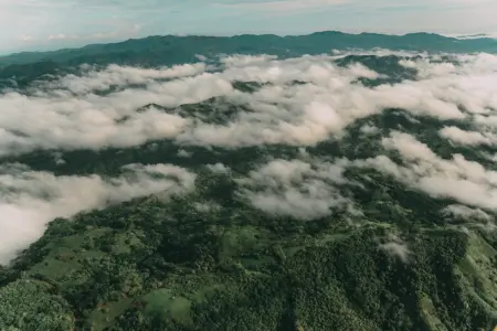 Guided Walk in El Silencio Cloud Forest | Hidden Nature of Costa Rica