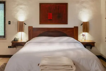 Arrive in San José Costa Rica – Check-In at Villa Blanca