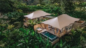 Family Tent
