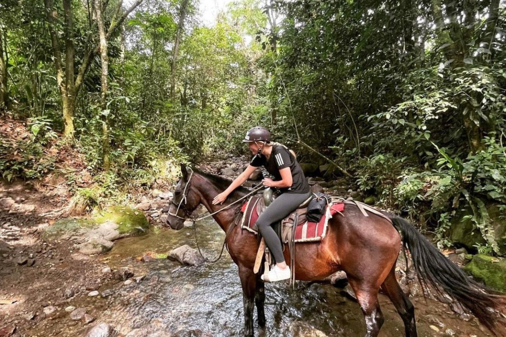 Horseback Riding to Arenal Volcano Costa Rica