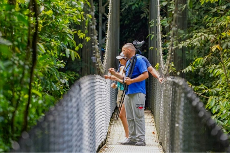 Choose Your Arenal Adventure