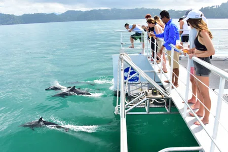 Catamaran & Snorkeling Tour