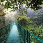 hanging-bridge-monteverde-costa-rica.jpg