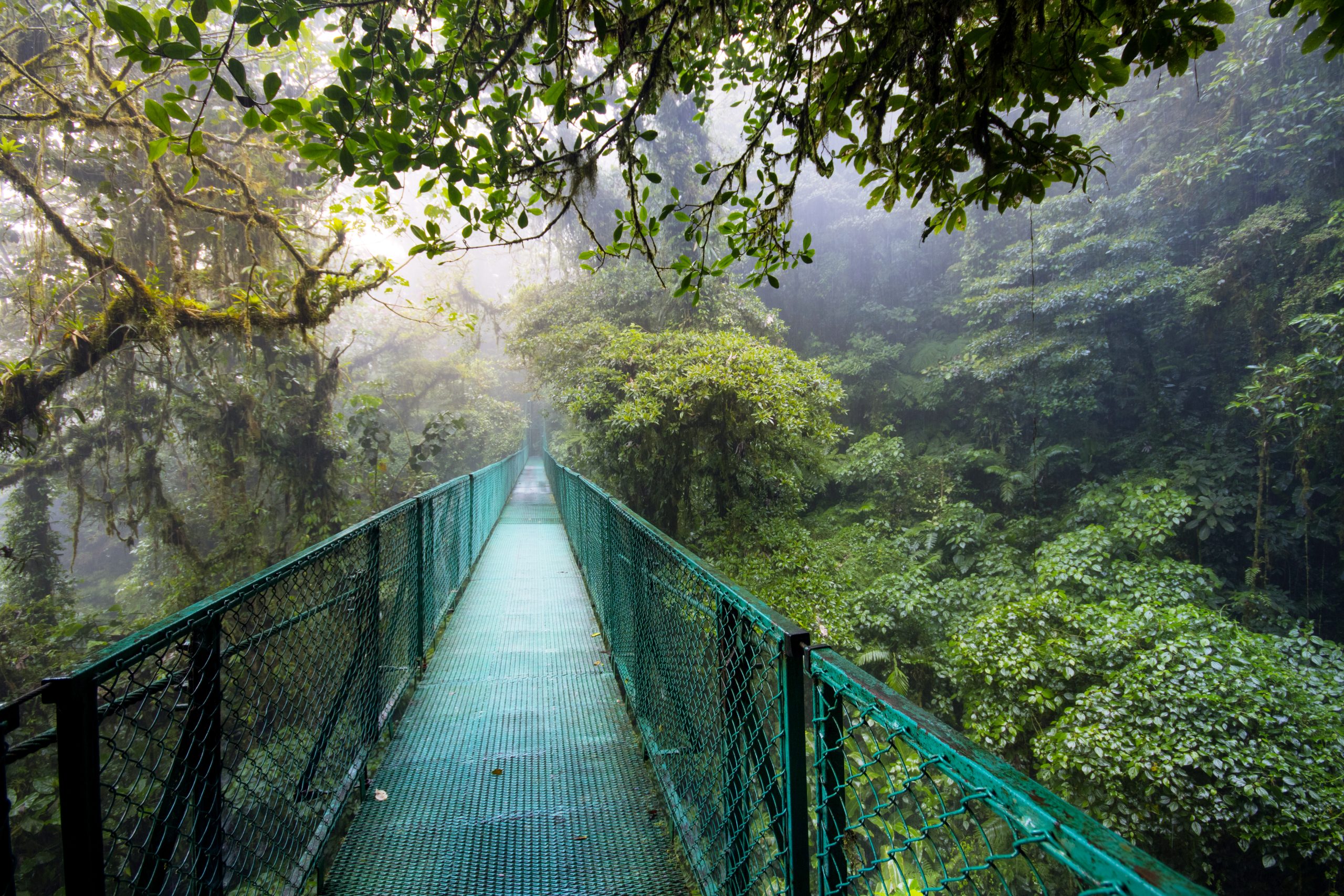 hanging-bridge-monteverde-costa-rica.jpg
