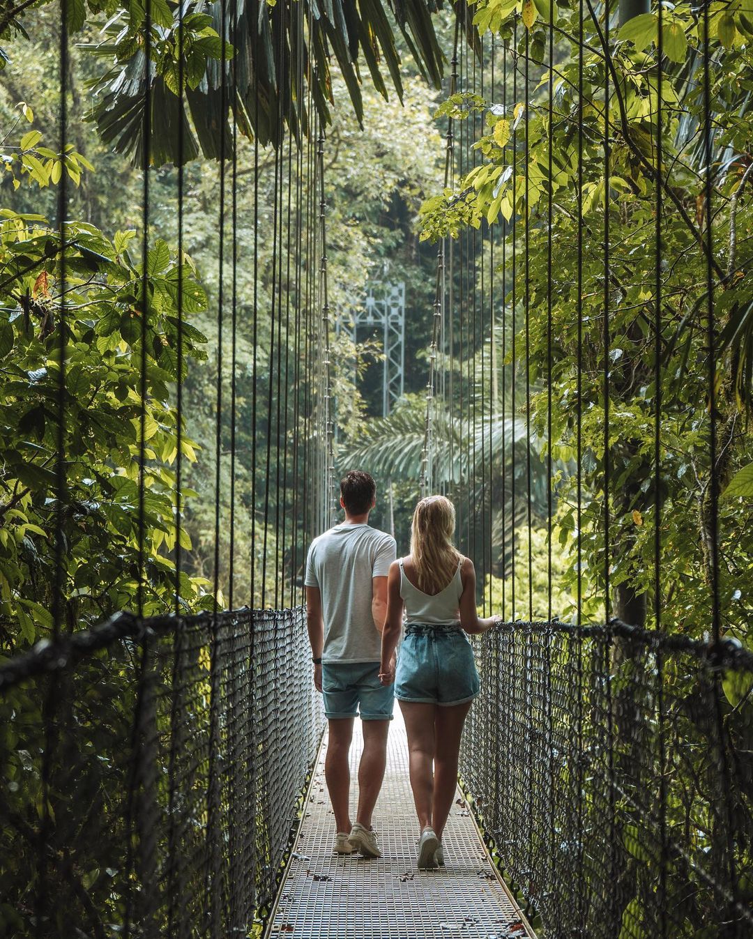 Hanging Bridges