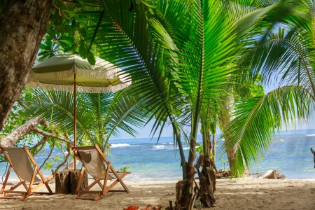 Free Day in Puerto Viejo