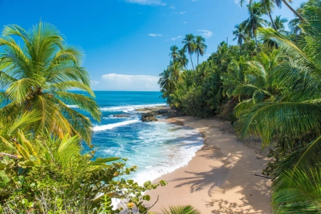 Free Day in Puerto Viejo